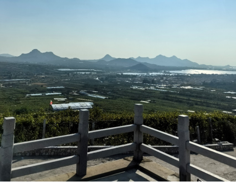 平度大澤山葡萄園引進(jìn)萊恩德土壤肥料檢測儀， 輕松掌握土壤營養(yǎng)
